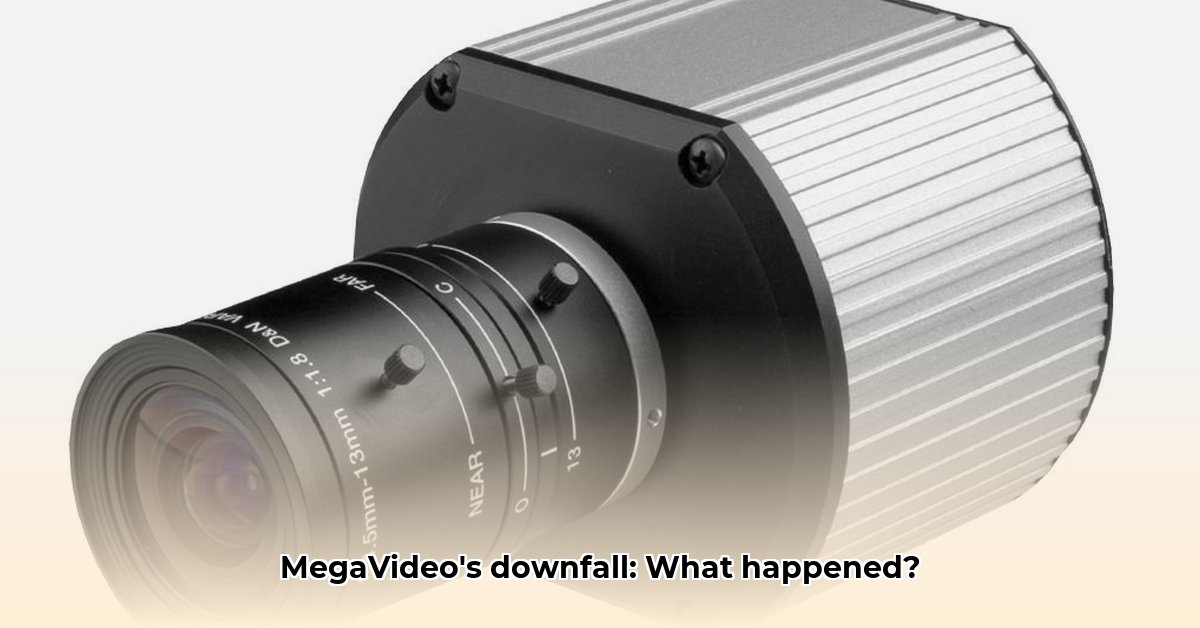 megavideos